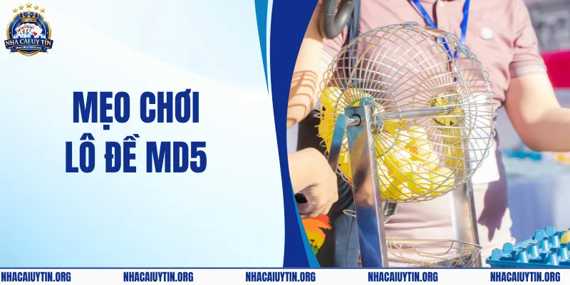 Mẹo Chơi Lô Đề MD5 – Cách Soi Cầu Chuẩn Xác & Nhanh Chóng 